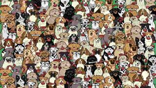 ¿Puedes detectar al perro con la salchicha en la boca en 15 segundos? Solo el 1% lo logra