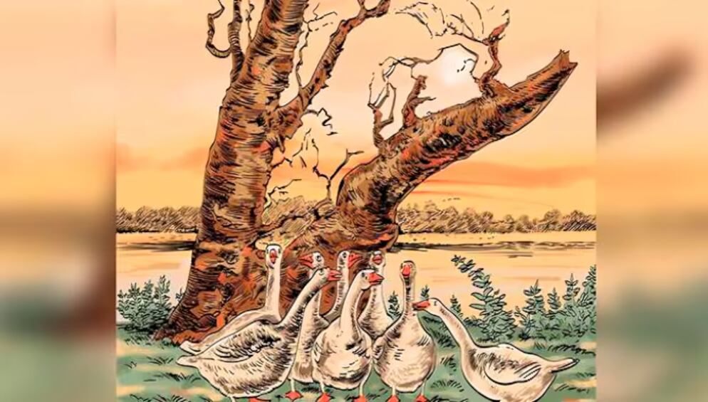 ¿Eres capaz de localizar al zorro escondido en el paisaje en solo 13 segundos? Solo los más diestros lo conseguirán (Foto: Depor)