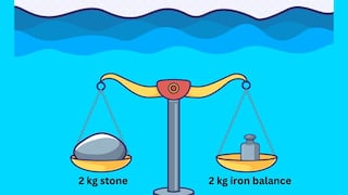 ¿De qué lado se inclinará la balanza en el agua? Pon a prueba tu nivel de coeficiente intelectual