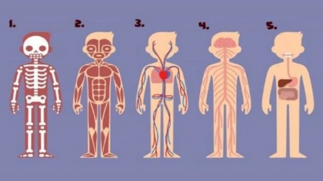 Test viral del cuerpo humano: según la parte que creas más importante, conoce qué cambios que tendrás este 2021