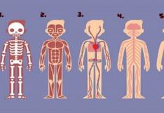 Responde cuál parte del cuerpo te parece más importante y conoce tu verdadera personalidad