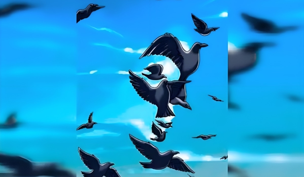 Conoce en qué etapa de tu vida te encuentras según qué veas primero en este test visual (Foto: GenialGuru).