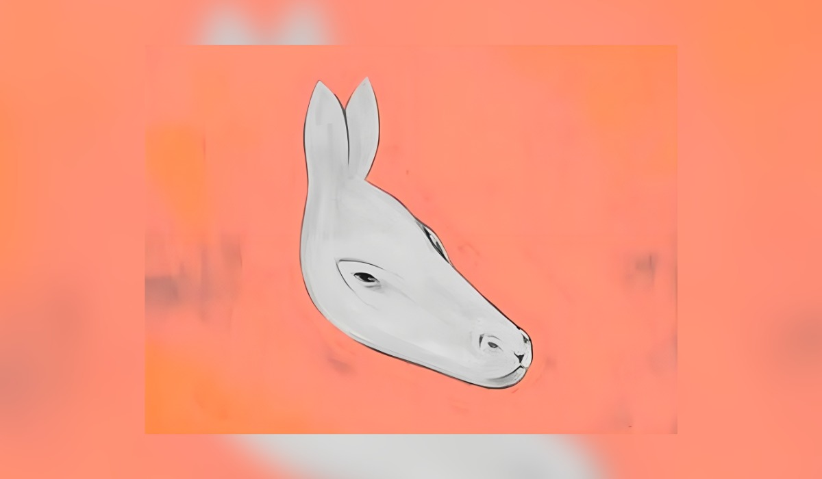 Test visual: descubre cómo será tu futuro según veas una foca o un burro en esta imagen (Foto: GenialGuru).