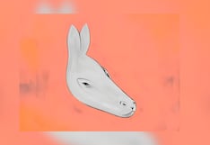 Conoce cómo será tu futuro según observas una foca o un burro en el test visual