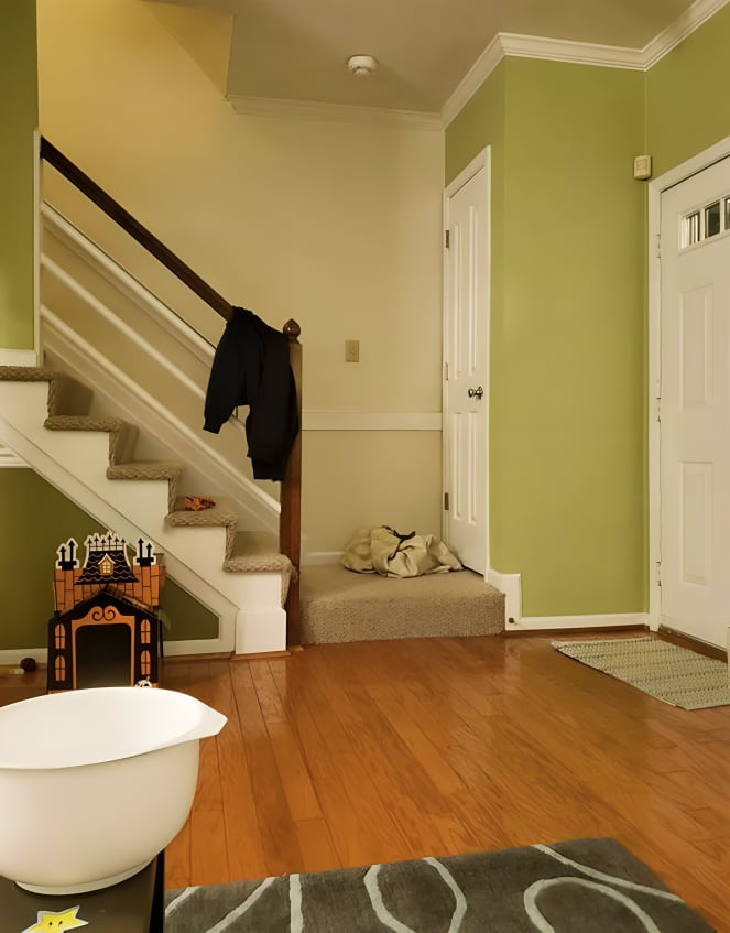 ¿Serás capaz de detectar al gato en menos de 5 segundos? Solo una minoría lo consigue (Foto: GenialGuru)