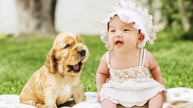 Mujer intenta que su bebé le diga “mamá”, pero su perro se adelanta y hace algo sorprendente 