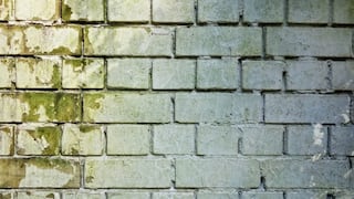 Cómo quitar el moho de las paredes de manera efectiva
