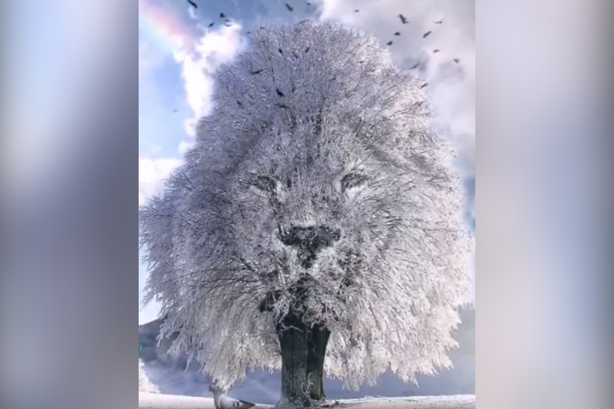 TEST DE PERSONALIDAD | ¿Eres alguien que capta los detalles más sutiles? Realiza esta prueba y averígualo. | TIKTOK/MIA_YILIN