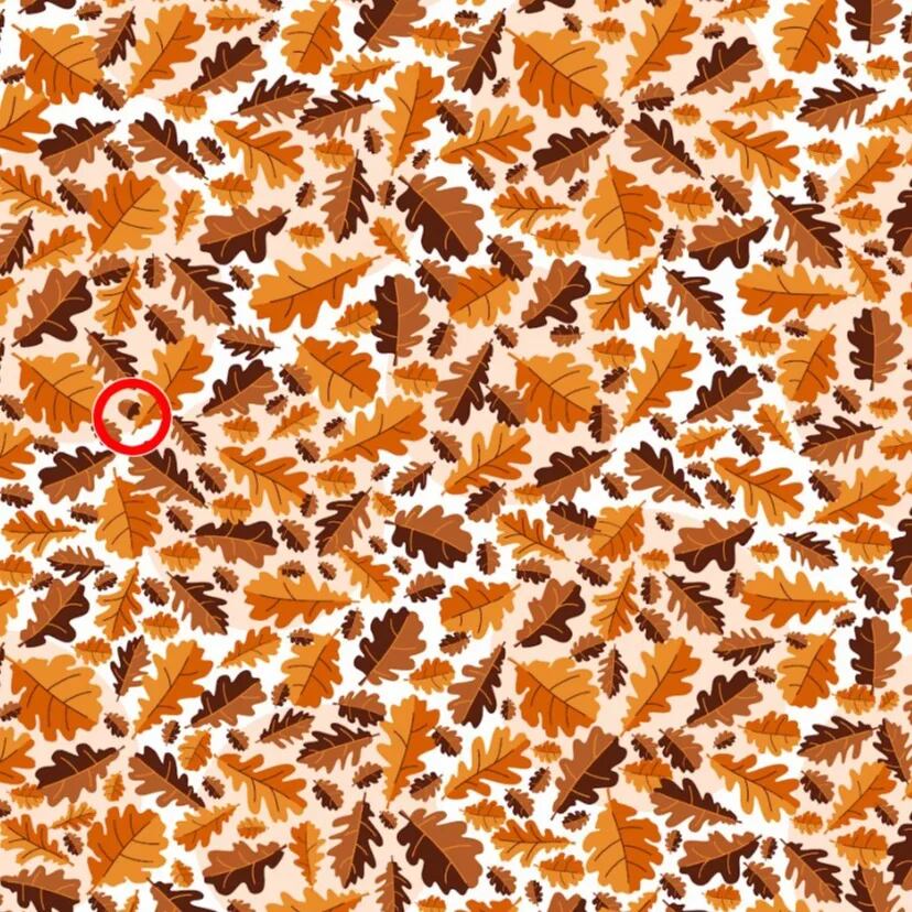 ACERTIJO VISUAL | La bellota estaba escondida detrás de una hoja en el lado izquierdo de la imagen. |Betway