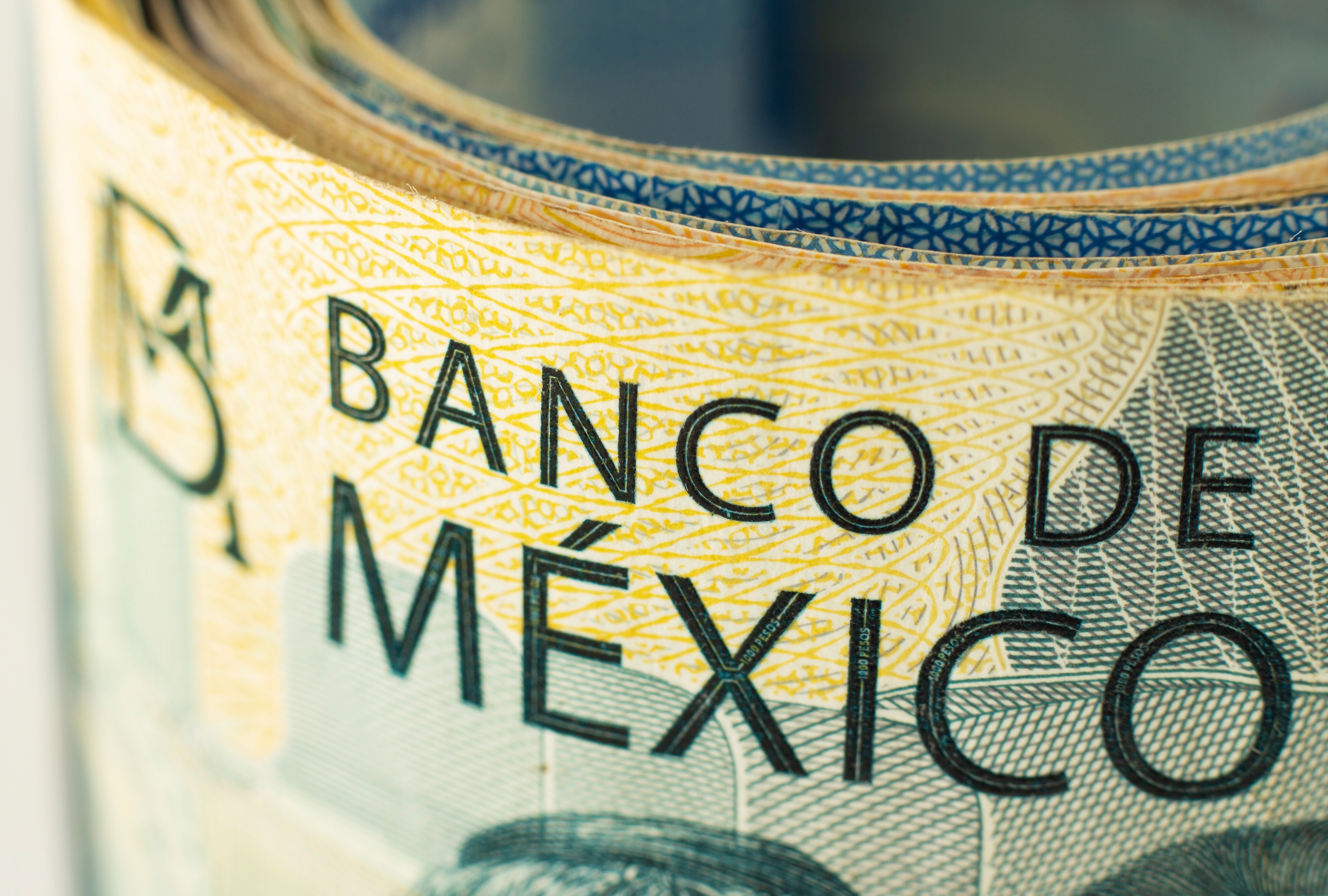 Conoce todo sobre la pensión vitalicia que recibirán algunas personas en México. (Foto: Freepik)