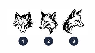 ¿Cómo reaccionas ante una mentira? Elige un zorro y conócelo