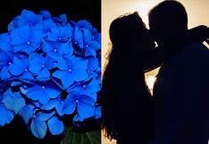 ¿Por qué se obsequian flores azules hoy, 3 de octubre, por el Día del Novio en Chile?