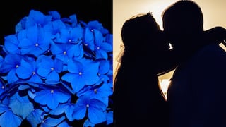 ¿Por qué se obsequian flores azules hoy, 3 de octubre, por el Día del Novio en Chile?