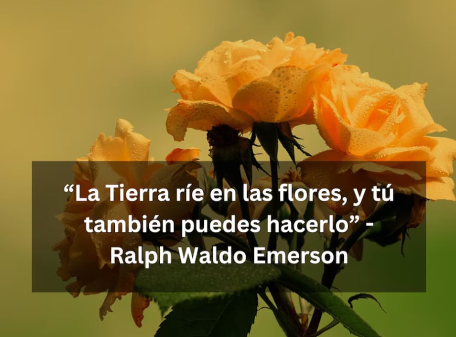 “La Tierra ríe en las flores, y tú también puedes hacerlo” - Ralph Waldo Emerson | Imagen de Ilo en Pixabay / Composición Depor.