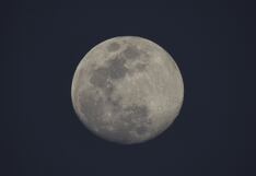 Luna Llena del Lobo: a qué hora, cómo y dónde se pudo ver en el cielo