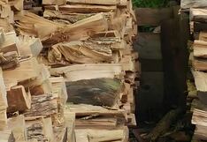 Encuentra al gato oculto entre la madera ¡Tienes solo 10 segundos para hacerlo!