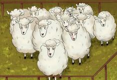 ¿Podrás detectar al lobo oculto de oveja en solo 6 segundos? ¡Inténtalo!