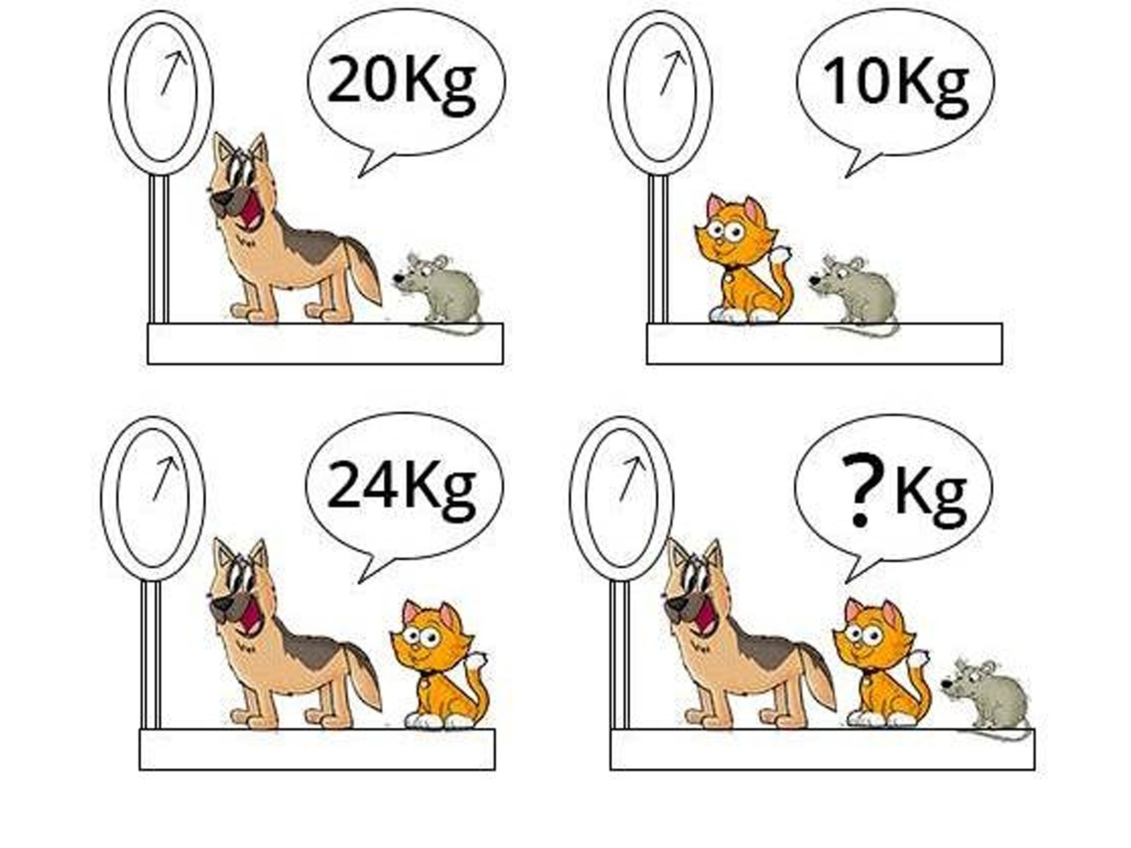 RETO MATEMÁTICO | Eres un genio si puedes resolver el desafío encontrando el peso de todos los animales en 11 segundos. | jagranjosh