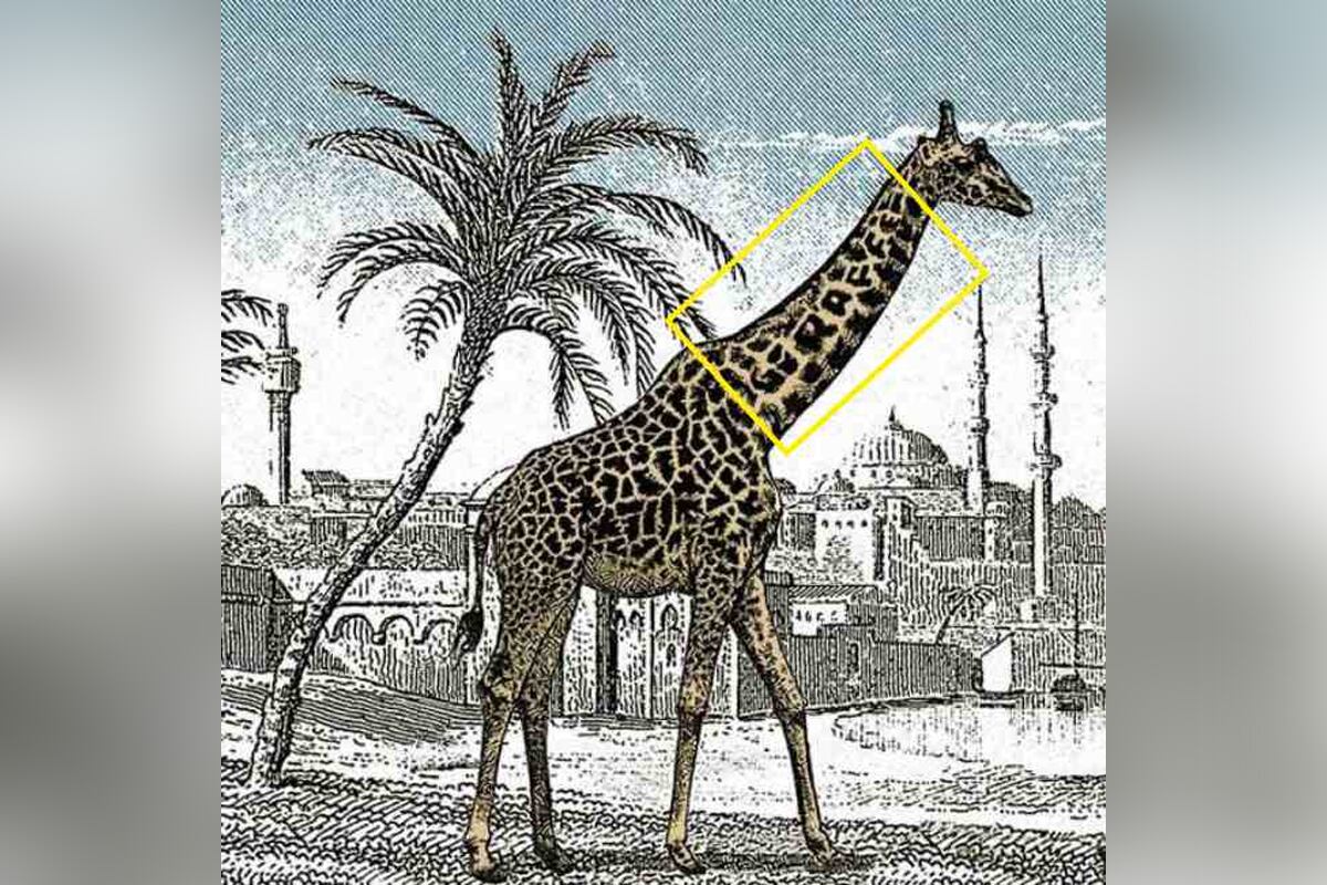 La segunda 'jirafa' se encontraba en el cuello de la primera. Allí, está escrita la palabra en inglés. (Foto: BuzzFeed)