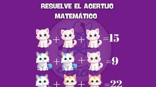 Calcula el valor de cada gatito y resuelve este complicado reto matemático en 5 segundos