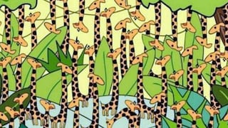 Desafío visual ‘venenoso’: ¿logras ver a la serpiente entre las jirafas de este reto viral nivel ‘leyenda’? [FOTOS]
