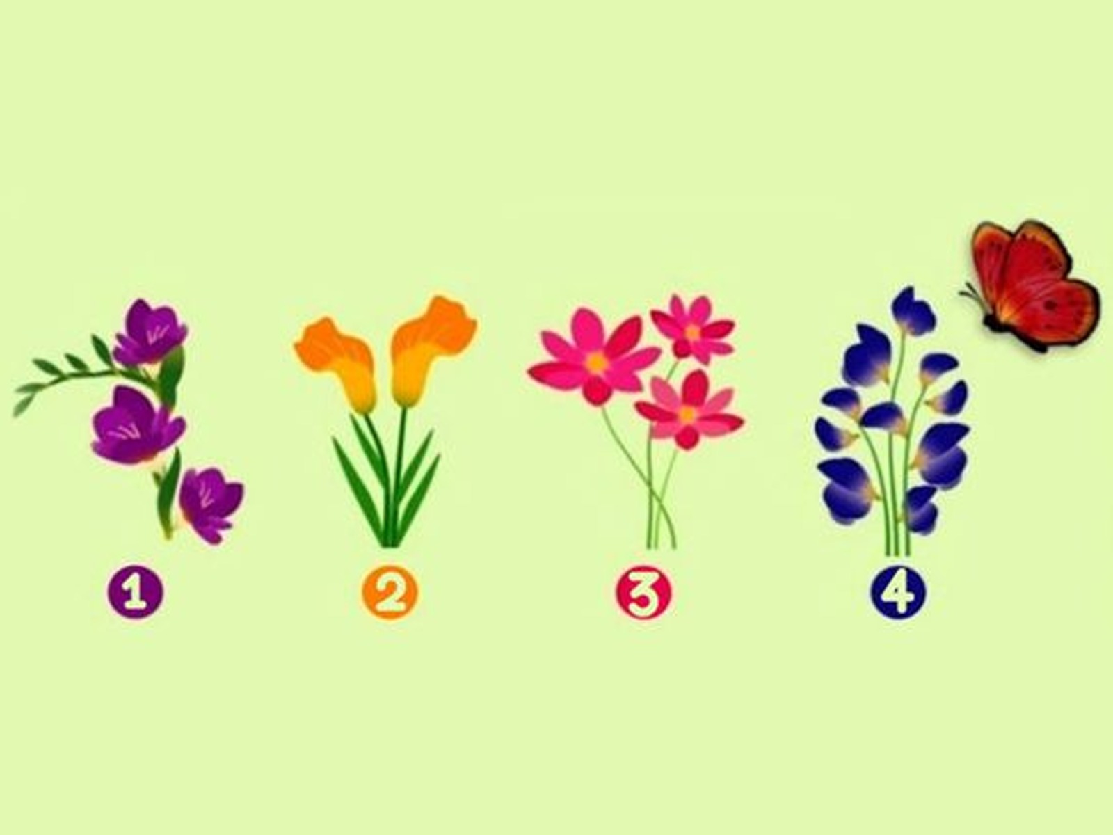 ¿Te interesa descubrir qué tipo de amante eres? Este fascinante test visual te invita a elegir una de las cinco flores que aparecen en la imagen, guiándote únicamente por tu intuición.