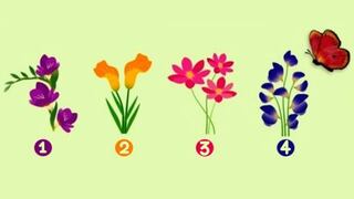 Descubre tu estilo amoroso con este divertido test visual: ¿Qué flor atraerá a la mariposa?