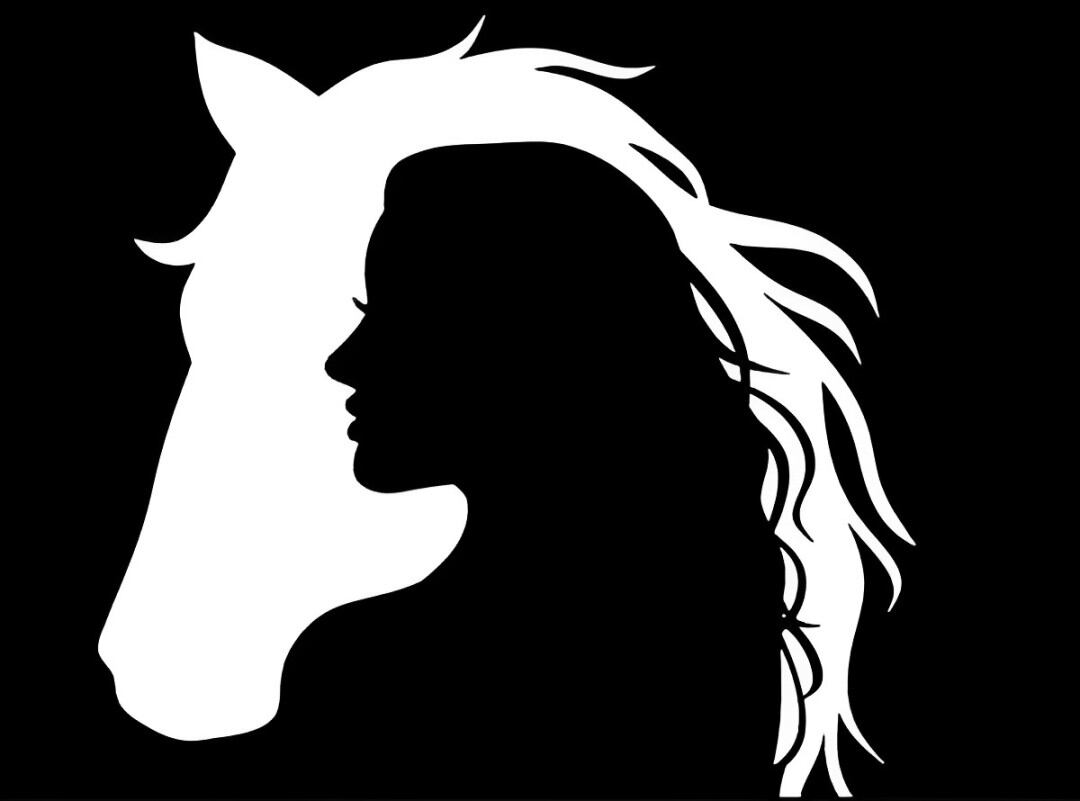 Test de personalidad: según la primera silueta que veas sabrás si eres apasionado (Foto: Pinterest).