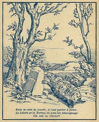 DESAFÍO VISUAL | Solo los ojos más agudos podrán detectar al conejo en 6 segundos.