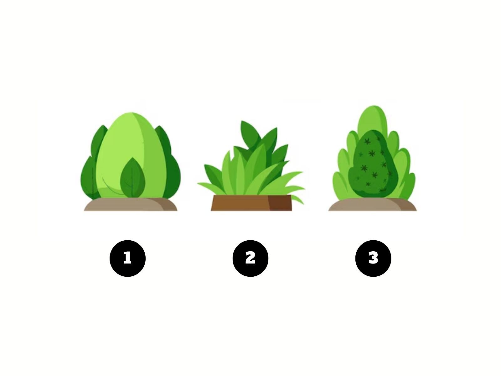 Test visual: Elige uno de los arbustos para saber en qué necesitar enfocar tu tiempo. (Foto: Composición Freepik / Depor)