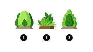 El arbusto que elijas te enseñará en qué deberías invertir tu tiempo