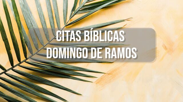 Citas bíblicas y lecturas sobre el Domingo de Ramos para compartir con tu familia