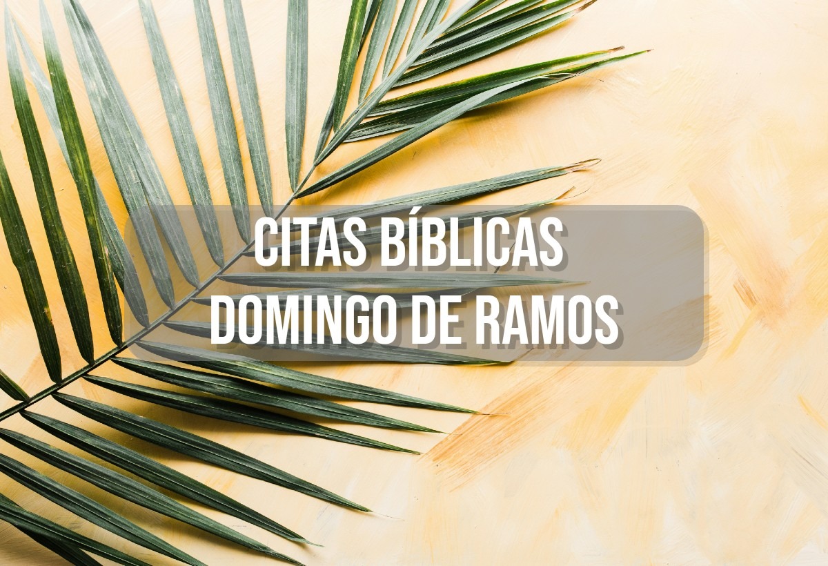 FRASES | Este 2024 el Domingo de Ramos se celebra en todas las iglesias el 24 de marzo. (Pexels)