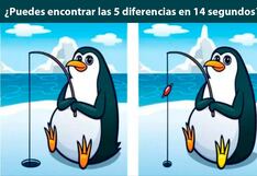 Encuentra las diferencias: ¿Puedes encontrar las 5 diferencias en 14 segundos?