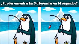 Encuentra las diferencias: ¿Puedes encontrar las 5 diferencias en 14 segundos?