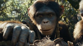 “Kingdom of the Planet of the Apes”, ¿es el inicio de una nueva trilogía de la franquicia?