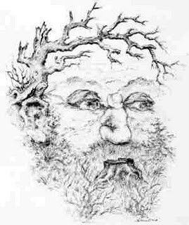 DESAFÍO VISUAL | ¿Logras ubicar a la mujer en la imagen?