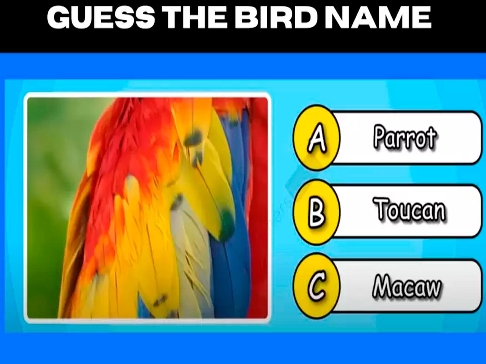 Debes mirar con mucho cuidado la ilustración e indicar cuál es el ave que está oculto.| Foto: fresherslive