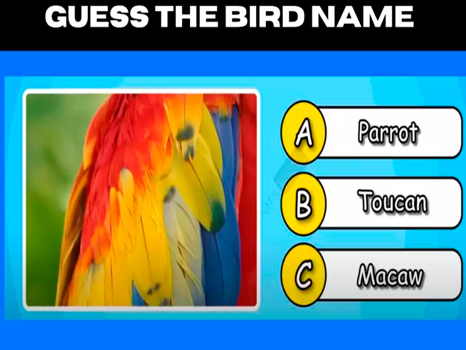 Debes mirar con mucho cuidado la ilustración e indicar cuál es el ave que está oculto.| Foto: fresherslive