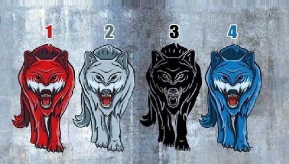 TEST VISUAL | En esta imagen hay cuatro lobos. Elige uno. (Foto: namastest.net)