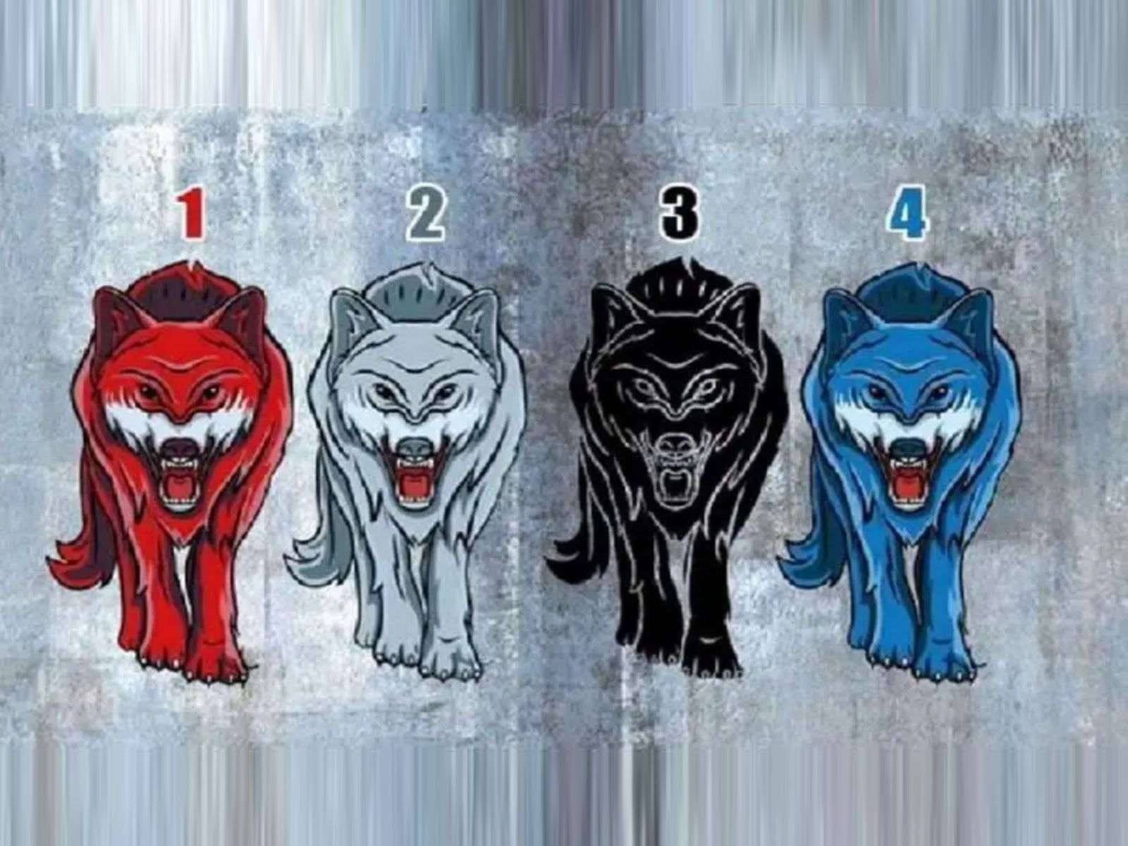 TEST VISUAL | En esta imagen hay cuatro lobos. Elige uno. (Foto: namastest.net)