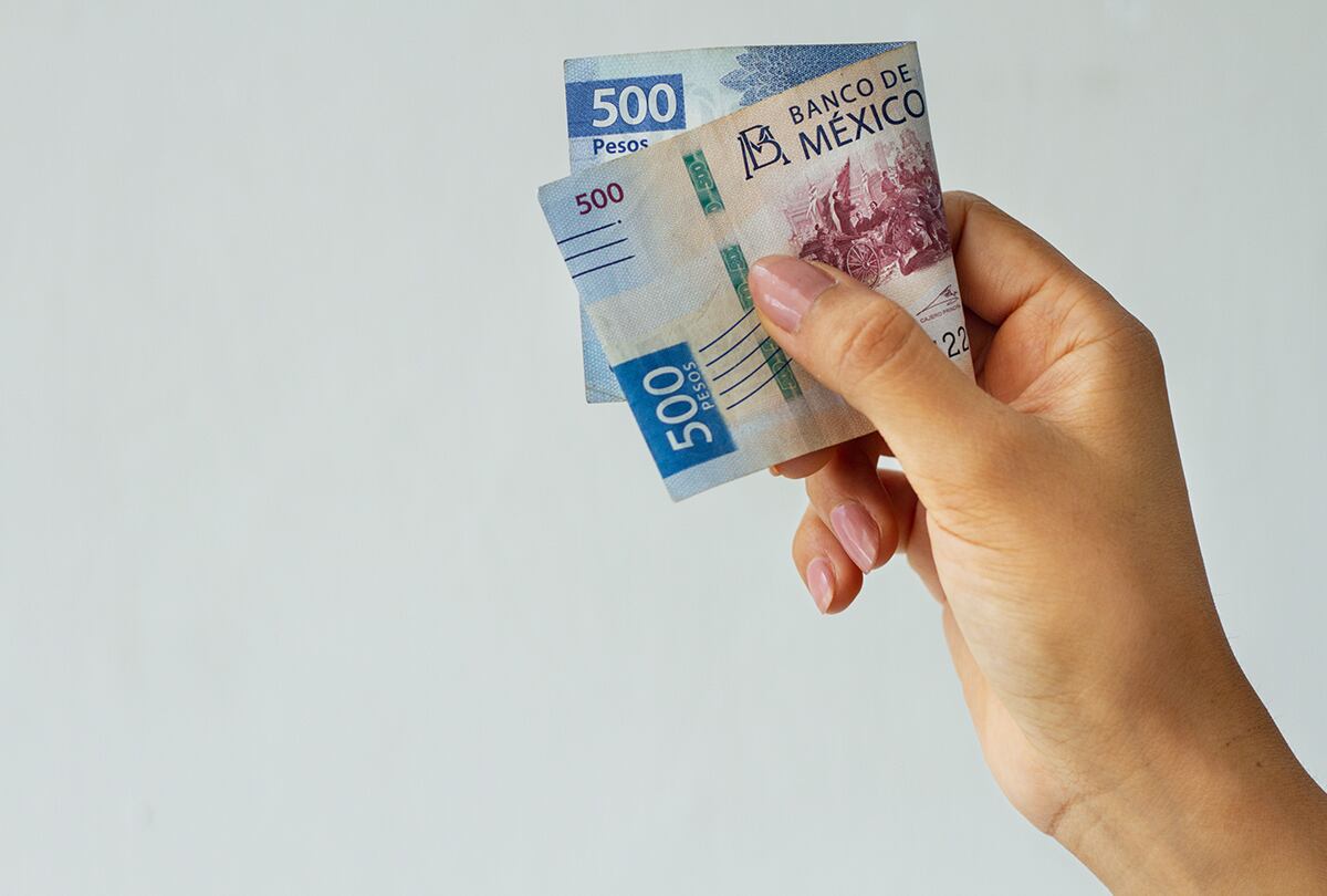 Conoce desde qué día puedes registrarte para cobrar la nueva Pensión Bienestar. (Foto: Freepik)