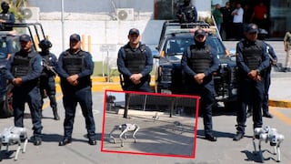 México: perros robot vigilarán Monterrey durante el Mundial