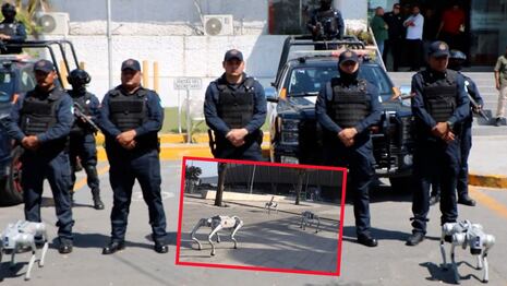 México: perros robot vigilarán Monterrey durante el Mundial