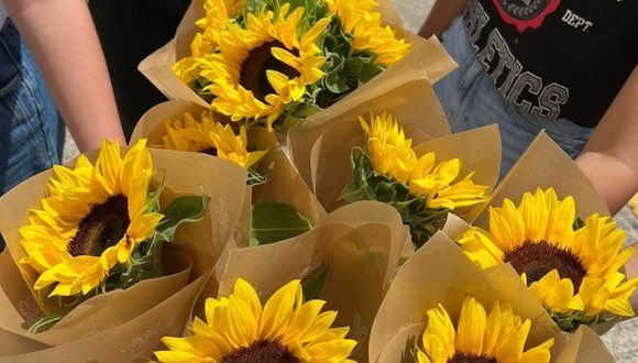 Conoce cuál es el significado de regalar flores amarillas este 21 de septiembre en México | Foto: Internet