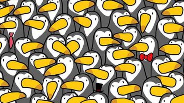 Desafío viral: encuentra al pingüino entre los tucanes del reto visual cuanto antes [FOTO]
