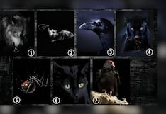 El animal que escojas en esta imagen sacará a la luz cuál es tu lado más oscuro