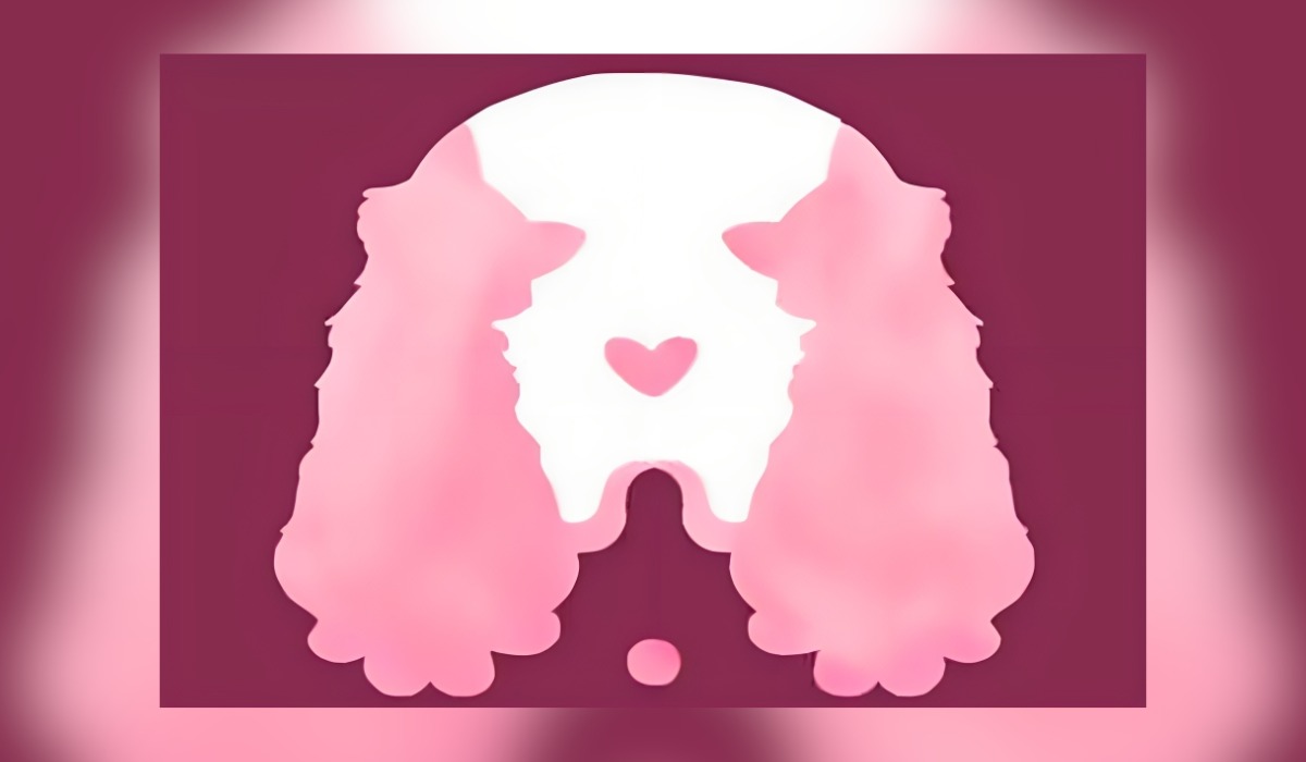 Descubre qué tipo de persona eres según qué animal viste en este test de personalidad (Foto: GenialGuru).