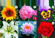 ¿Quieres conocer más sobre tu forma de ser? Elige una flor