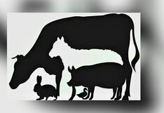 Test visual: el número de animales que visualices dirá quién quiere traicionarte